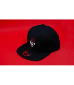 Snapback Kids Never Forget -Chapeau Soldes Boutique snapback kids never forgetsnapback20enfant20dinosaure